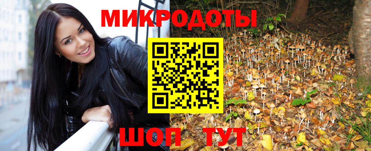 Буйнакск  Галлюциногенные грибы мицелий  Вход с VPN 
